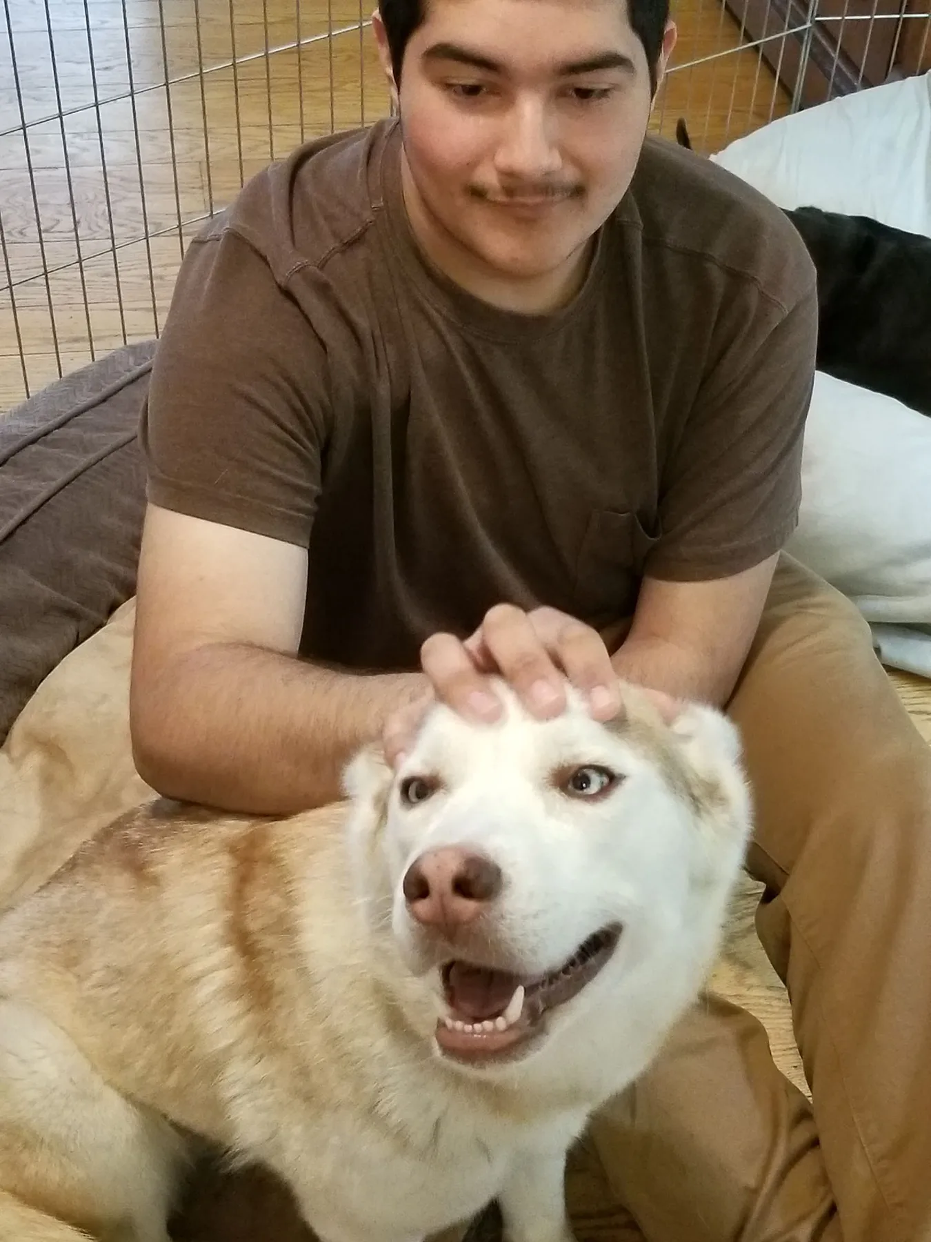 A young man hugging a rescued husky