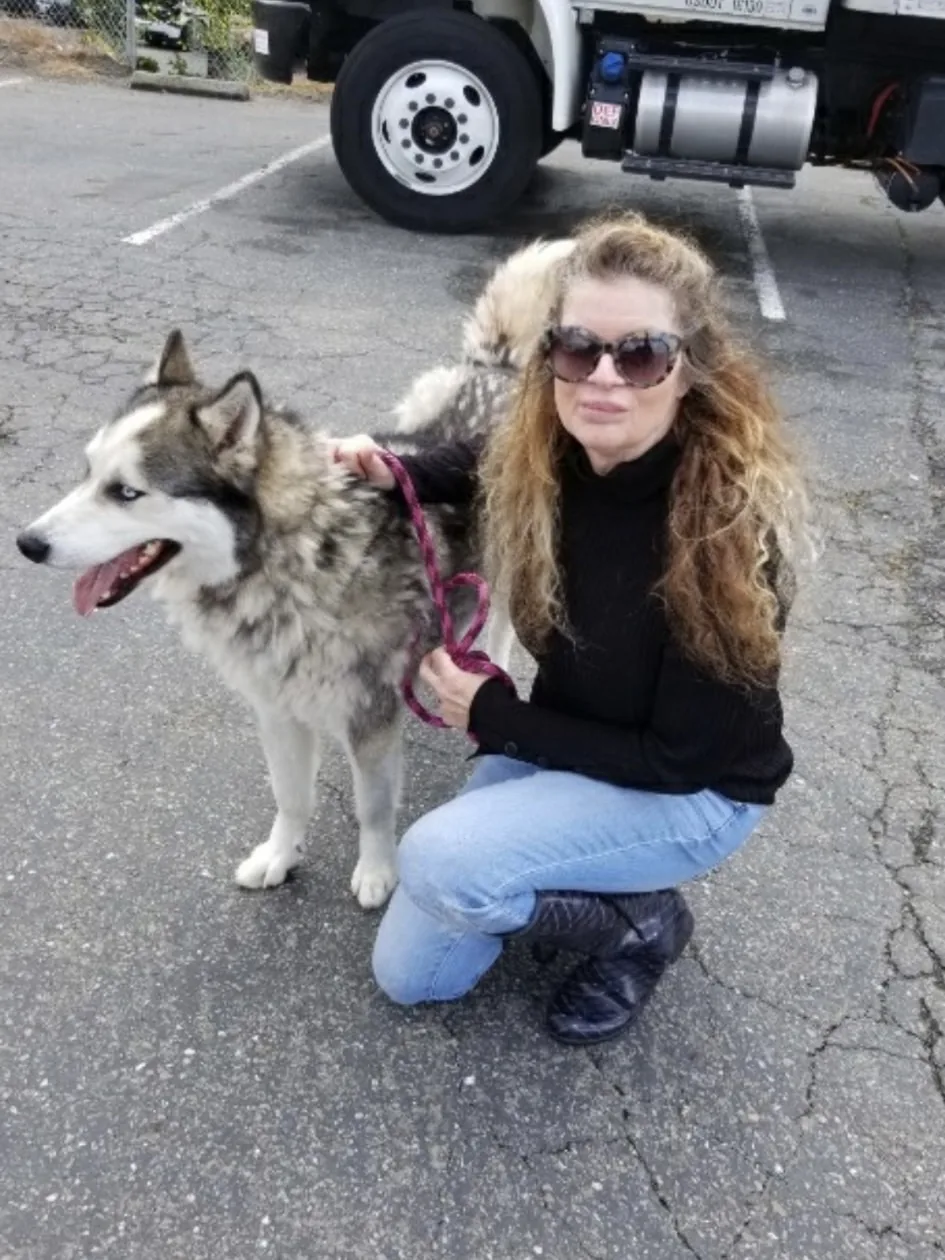 A volunteer kneeling beside a husky on a lead in front of a transport truck