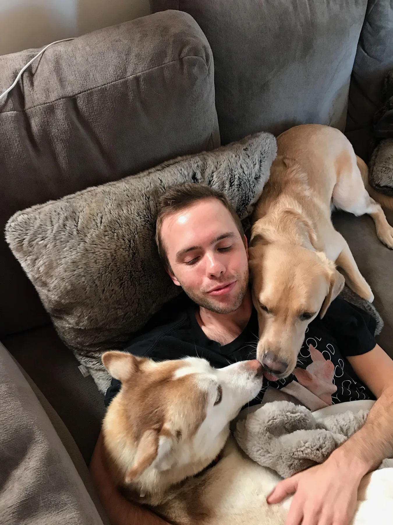 Two dogs asleep against a man on the sofa