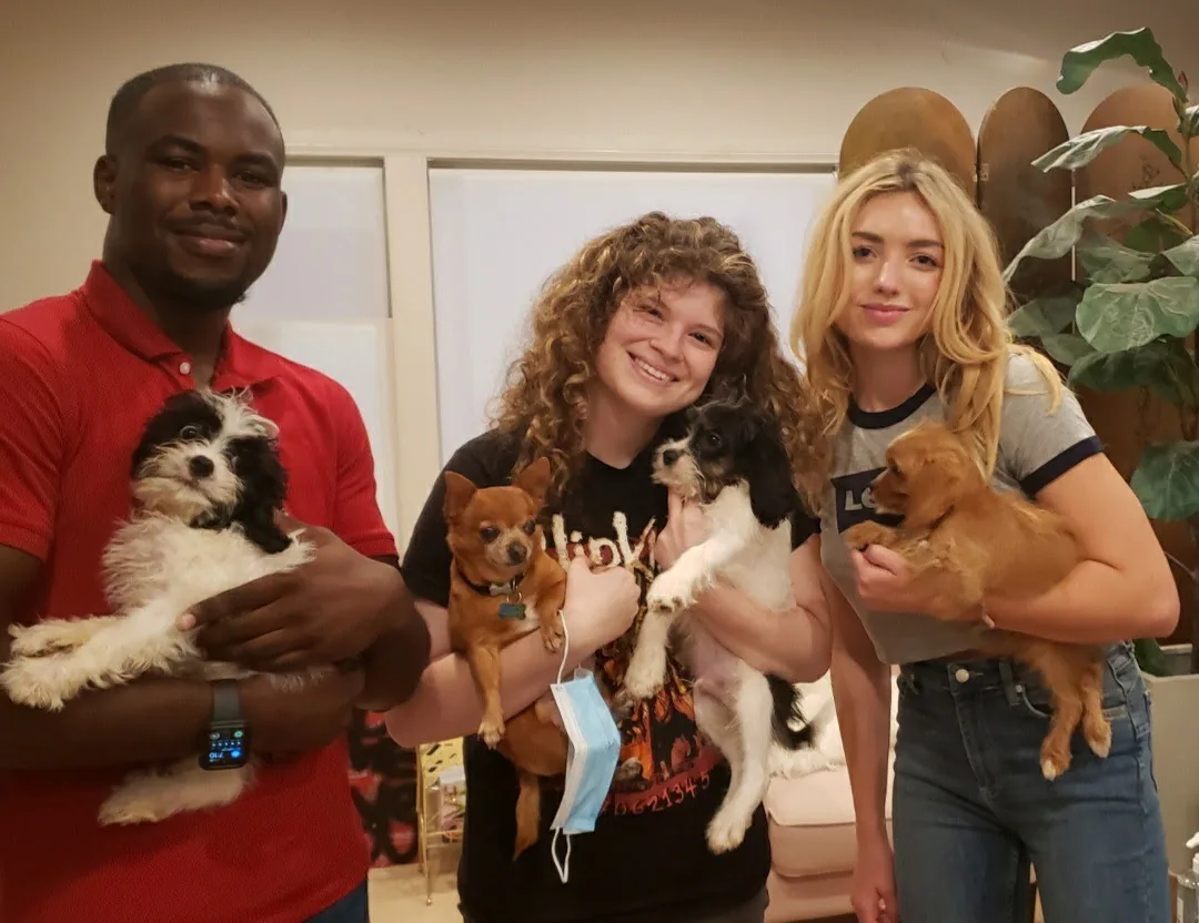 Three adopters each holding a puppy on adoption day