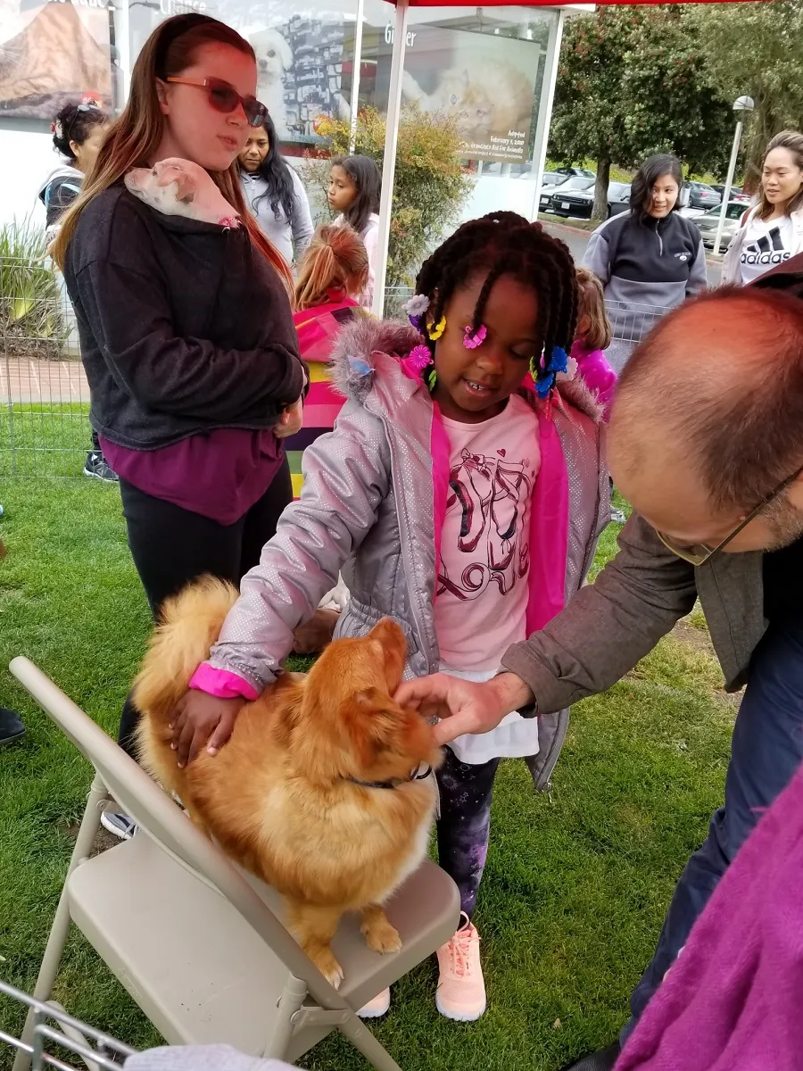 Children meeting a rescue dog at an event